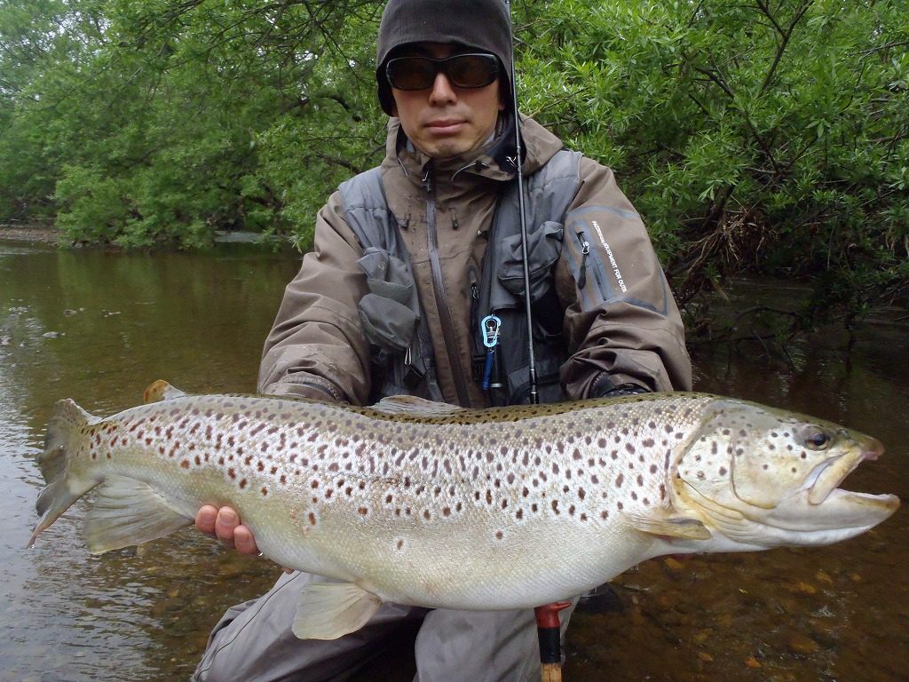 17年の釣果まとめ Curtis Creek